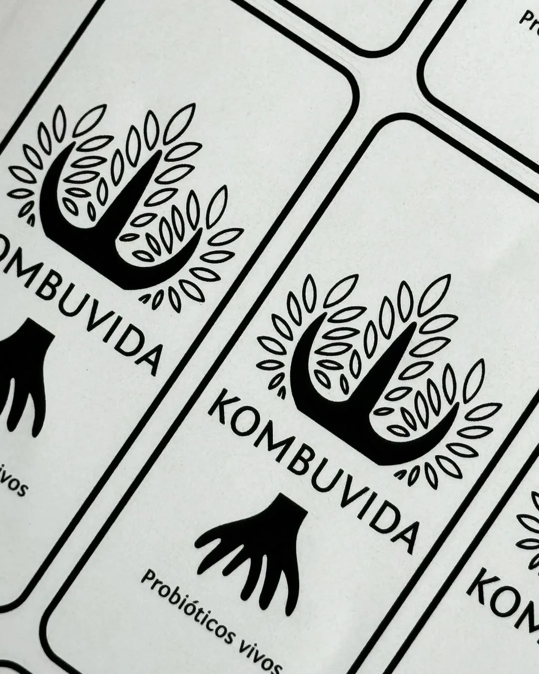 Beneficios Kombucha