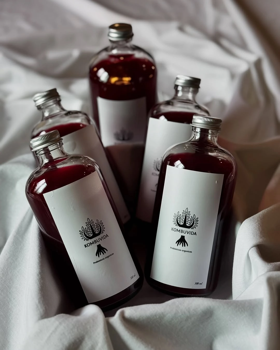 Kombucha de Frutos Rojos