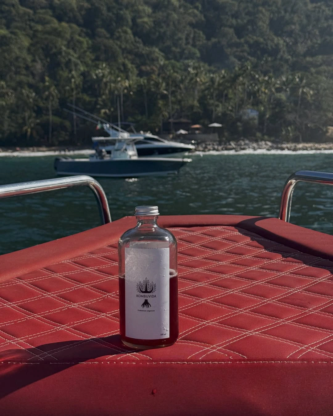 Proceso de Fermentación