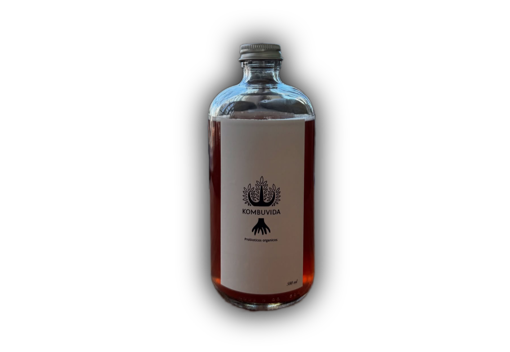 Kombucha de Frutos Rojos